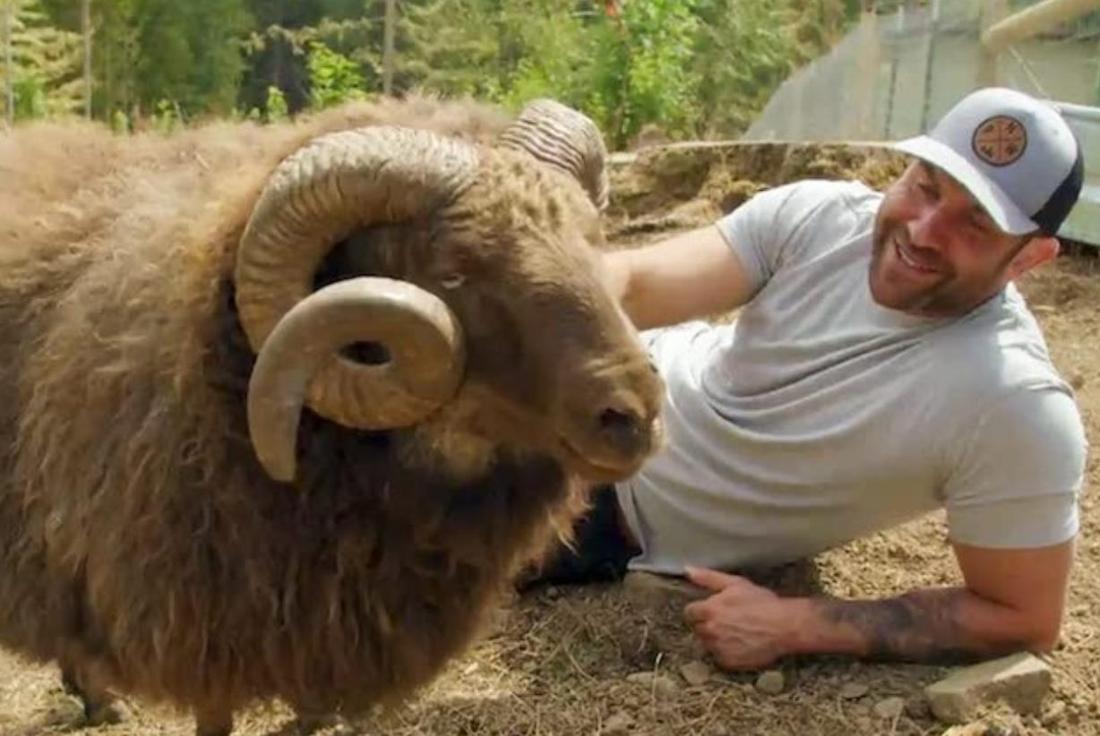 我的背包生活 第一季 My Pack Life Season 01