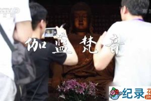 央视文化保护纪录片《伽蓝梵音》全2集中字 TS/蓝光高清纪录片资源百度云盘下载