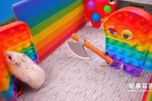 宠物趣味行为纪录片《小仓鼠闯迷宫》第2季原版无字 1080P高清自媒体解说素材百度云盘下载