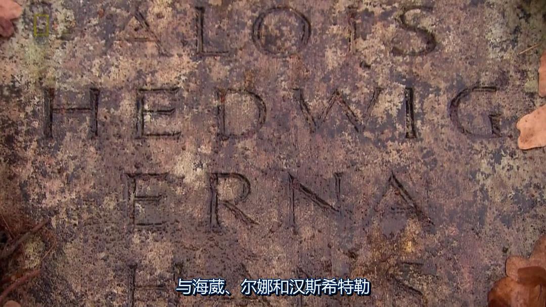 纳粹秘辛 第一季 Nazi Underworld Season 1