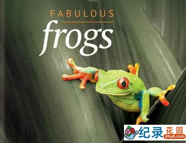 BBC自然生物纪录片《神奇的青蛙 Fabulous Frogs》全1集 720P/ 1080i高清纪录片百度云