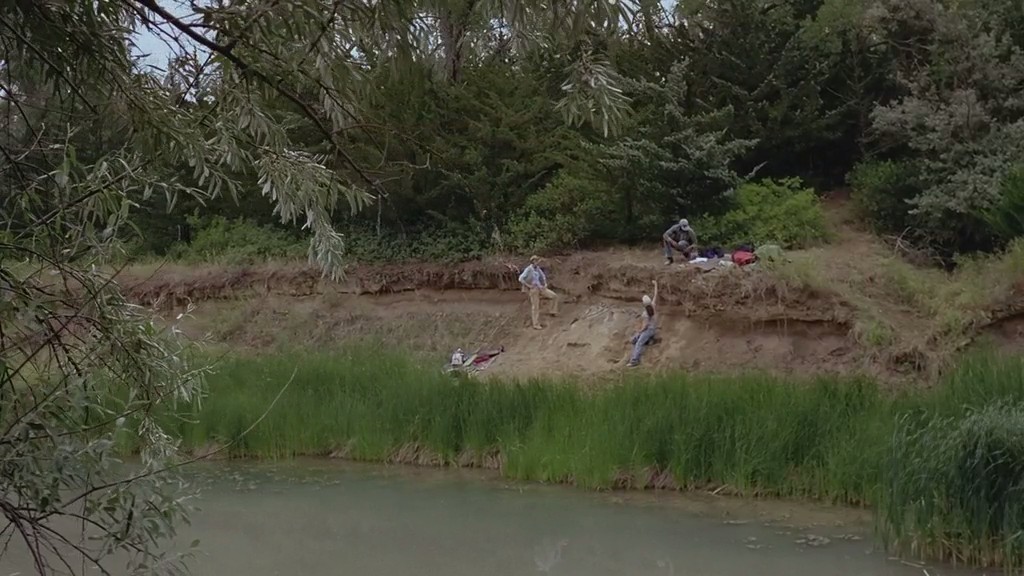 与海怪同行 Sea Monsters: A Prehistoric Adventure