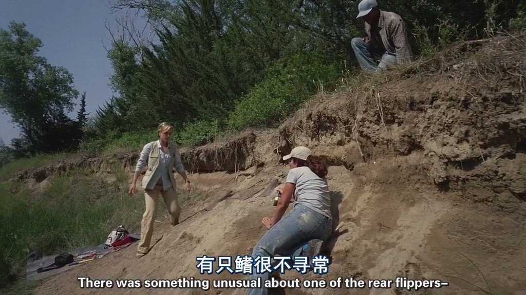 与海怪同行 Sea Monsters: A Prehistoric Adventure