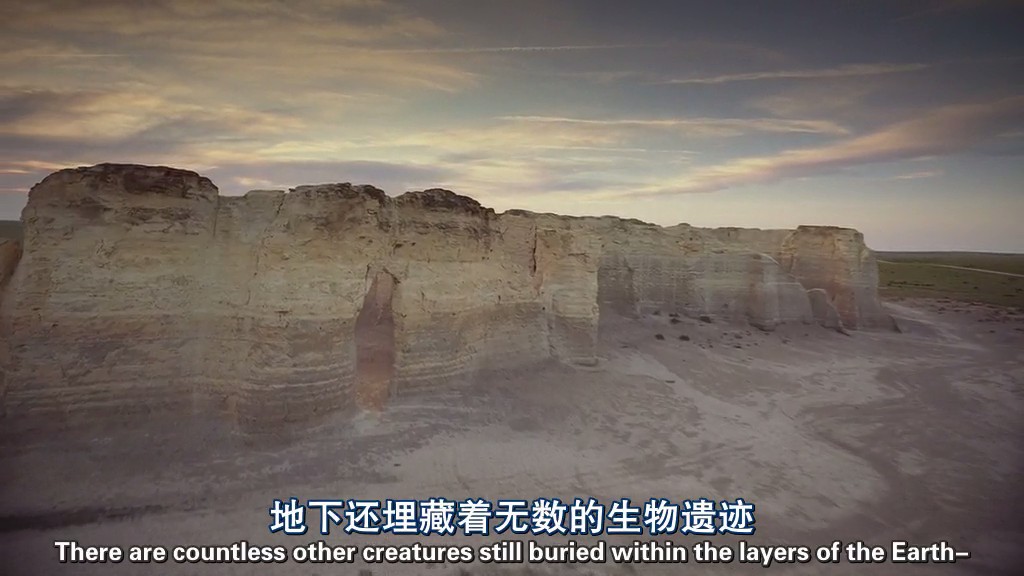 与海怪同行 Sea Monsters: A Prehistoric Adventure