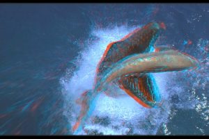 与海怪同行 Sea Monsters: A Prehistoric Adventure