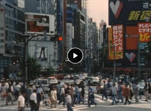 全身小说家 全身小説家