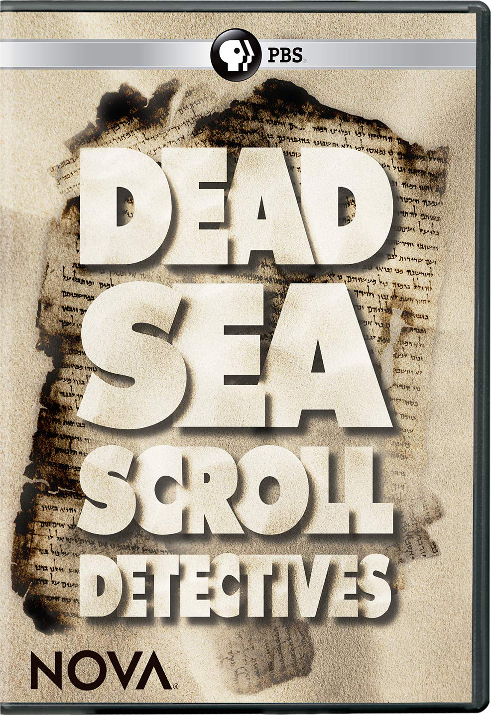 死海古卷调查 Dead Sea Scroll Detectives