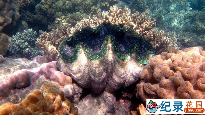 国家地理历史古迹纪录片《世界遗产大赏 Access 360 World Heritage》全2季 720P/1080i高清纪录片资源百度云盘下载