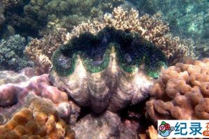 国家地理历史古迹纪录片《世界遗产大赏 Access 360 World Heritage》全2季 720P/1080i高清纪录片资源百度云盘下载