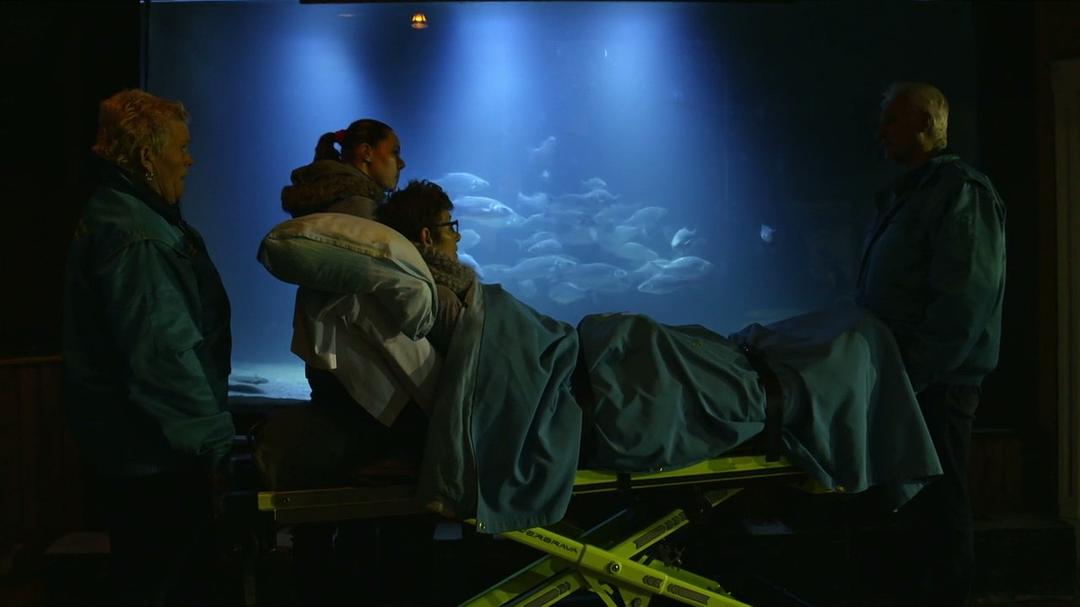 BBC地平线：我们需要谈谈死亡 We Need to Talk About Death