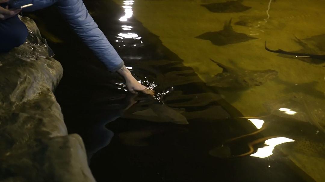 BBC地平线：我们需要谈谈死亡 We Need to Talk About Death