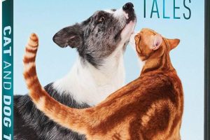 猫的故事 cat tales