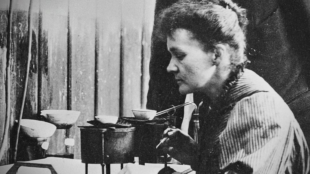 达尔文和生命之树 Charles Darwin and the Tree of Life