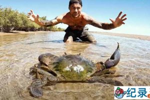 赶海捕捞纪录片《深海盛宴》第1季55集中字 720P/1080i高清纪录片资源百度云盘下载