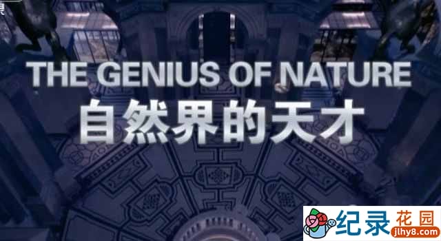 CCTV央视仿生学纪录片《自然界的天才 The Genius Of Nature》全3集 720P/1080i高清纪录片资源百度云盘下载