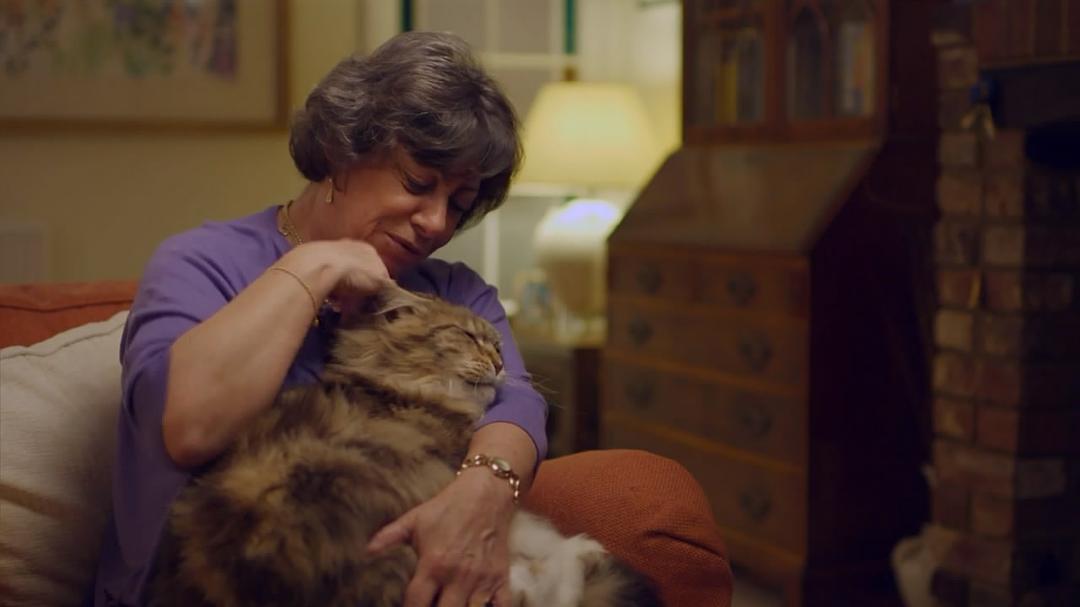 BBC地平线：猫的秘密生活 Horizon: The Secret Life of the Cat