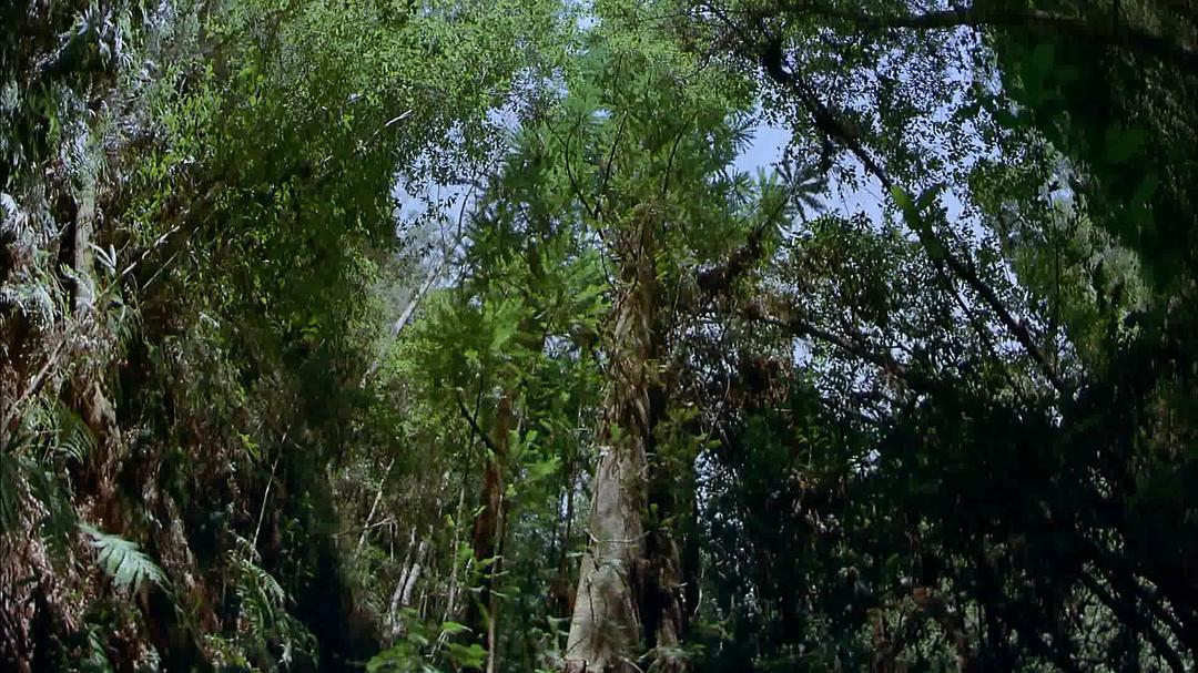 狂野澳洲：边缘 Wild Australia: The Edge