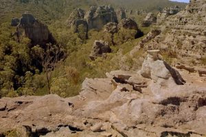 狂野澳洲：边缘 Wild Australia: The Edge