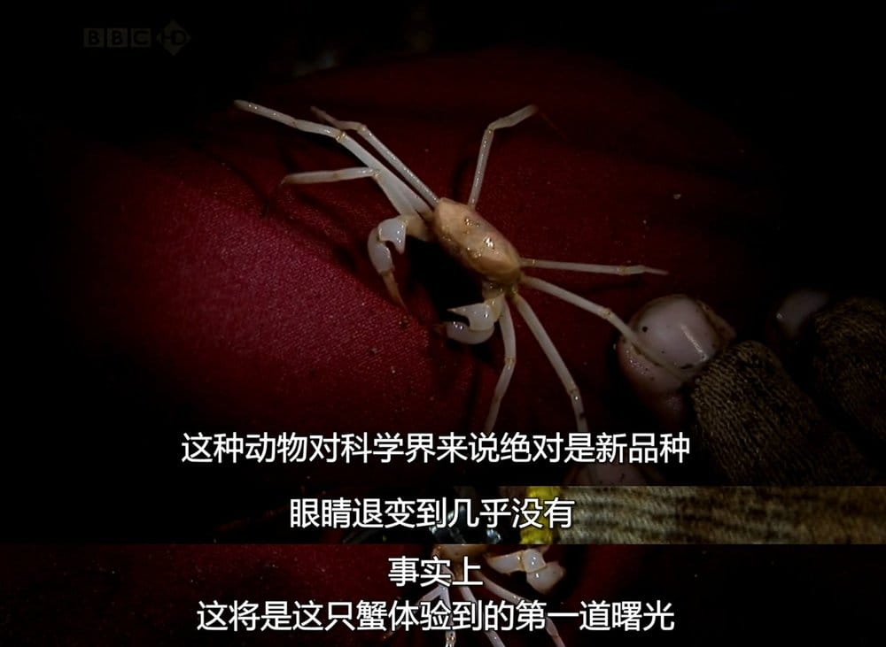 火山失落之地 Lost Land of the Volcano