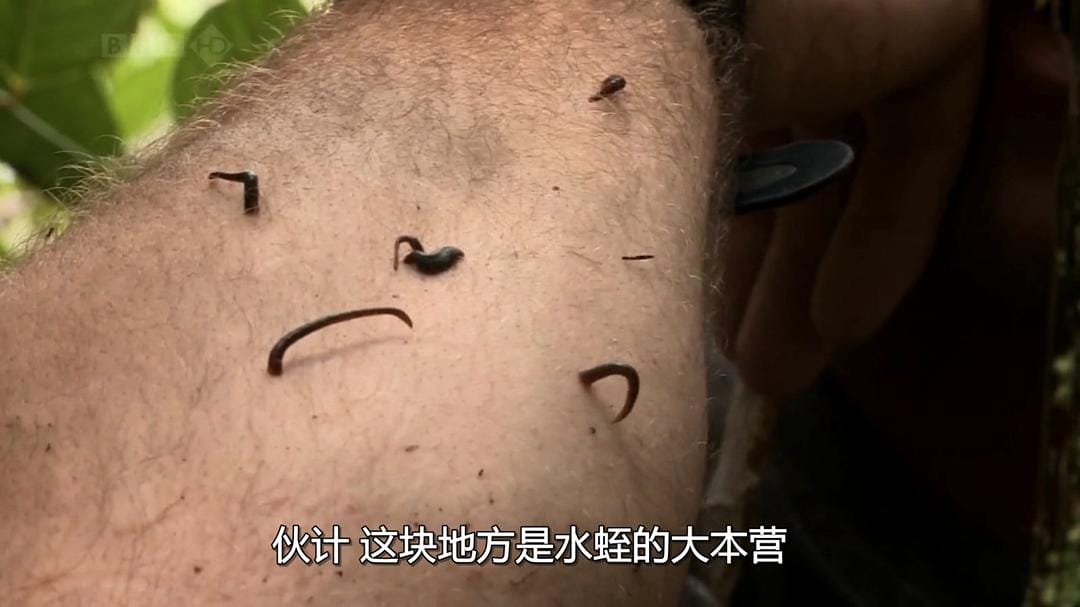 火山失落之地 Lost Land of the Volcano