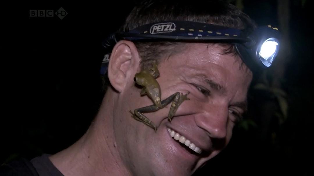 火山失落之地 Lost Land of the Volcano