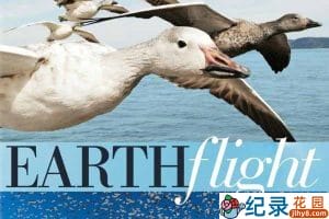 BBC自然生态纪录片《鸟瞰地球 Earthflight》全6集 720P/1080i高清纪录片资源百度云盘下载