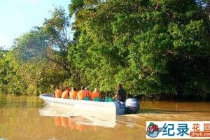 央视自然生态纪录片《走进基纳巴唐岸河》全3集 720P/1080i高清纪录片资源百度云盘下载