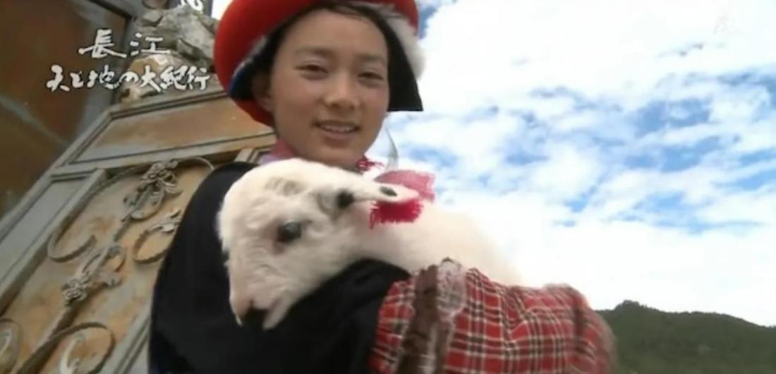 长江 天地大纪行 長江 天と地の大紀行