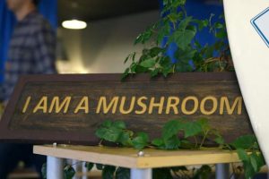 魔力蘑菇 The Magic of Mushrooms