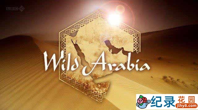 BBC自然生态纪录片《野性阿拉伯 狂野阿拉伯 Wild Arabia》全3集 720P/1080i高清纪录片资源百度云盘下载