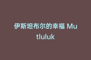 伊斯坦布尔的幸福 Mutluluk