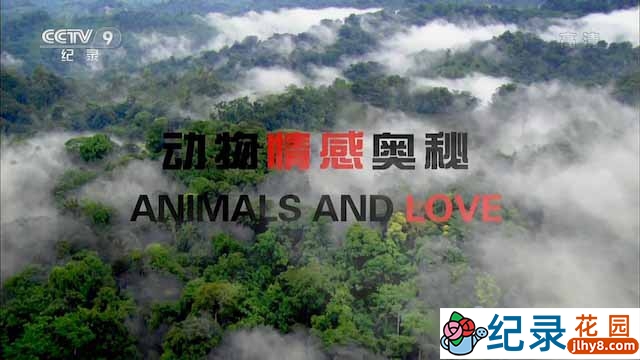 BBC野生动物纪录片《动物情感奥秘 Animals and Love》全2集中字 TS/蓝光高清纪录片资源百度云盘下载