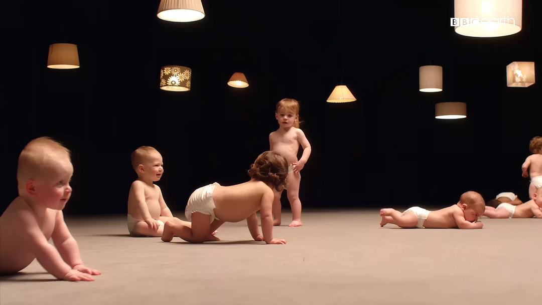 婴儿的秘密生活 Secret Life of Babies