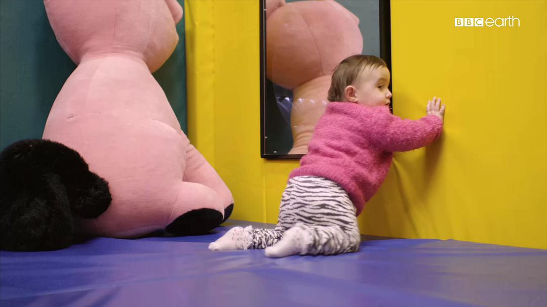 婴儿的秘密生活 Secret Life of Babies