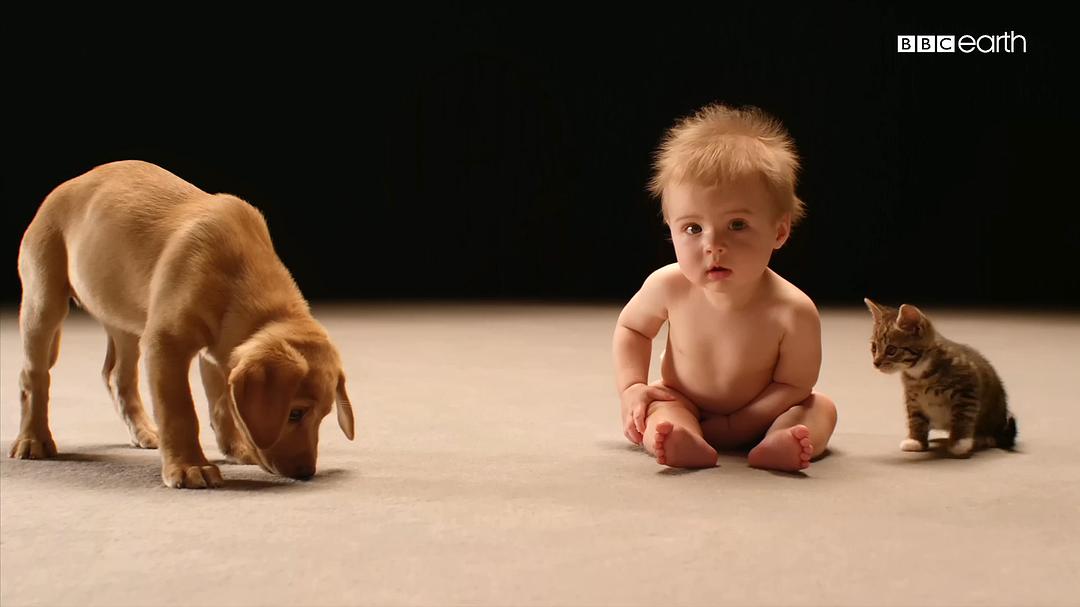 婴儿的秘密生活 Secret Life of Babies