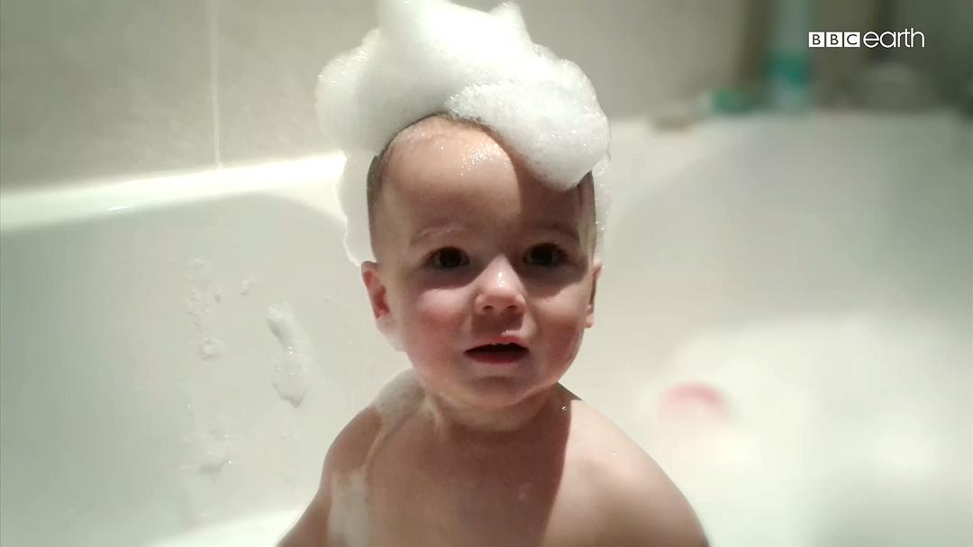 婴儿的秘密生活 Secret Life of Babies