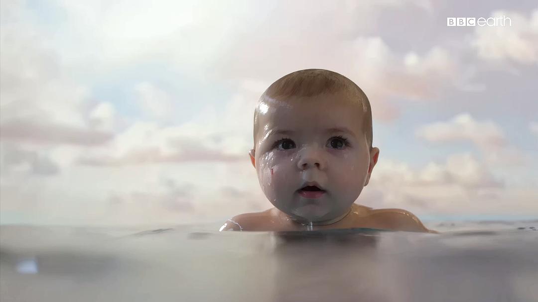 婴儿的秘密生活 Secret Life of Babies