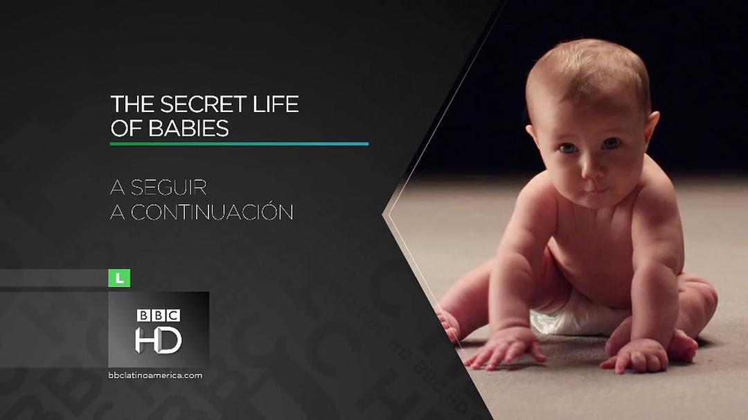 婴儿的秘密生活 Secret Life of Babies