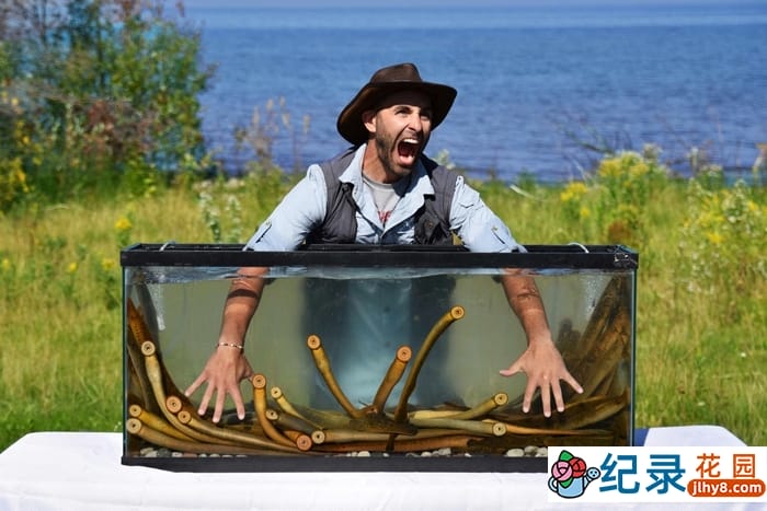 狼叔荒野探险纪录片《野地大胆王完整版》第3季中字 1080P高清自媒体解说素材百度云盘下载