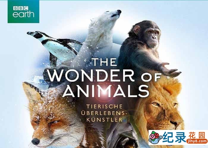 BBC自然生态纪录片《神奇动物大揭秘 The Wonder of Animals》全6集 720P/1080i高清纪录片百度云下载