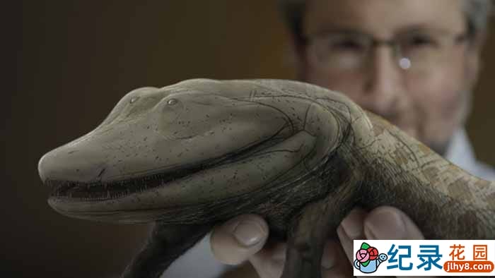 PBS生命探索纪录片《从鱼进化而来的你 Your Inner Fish》全3集 720P/1080i高清纪录片百度云下载