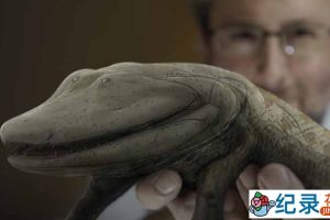 PBS生命探索纪录片《从鱼进化而来的你 Your Inner Fish》全3集 720P/1080i高清纪录片百度云下载