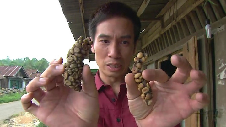 品味咖啡 第一辑