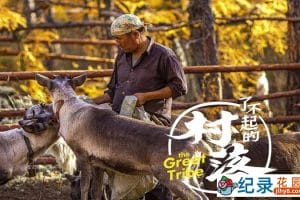 社会人文纪录片《了不起的村落》第1季 720P/1080i高清纪录片资源百度云盘下载