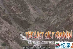 茶马古道纪录片《最后的盐道 The Last Salt Caravan》全1集 标清纪录片资源百度云盘下载
