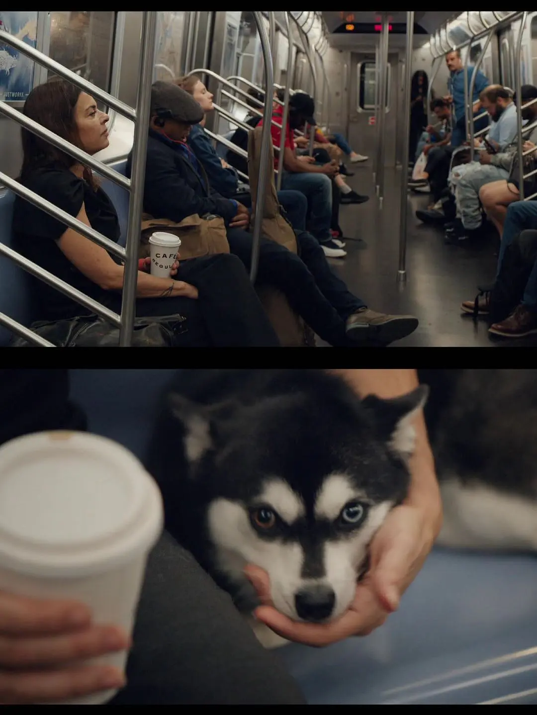 伴侣治疗 第一季 Couples Therapy Season 1