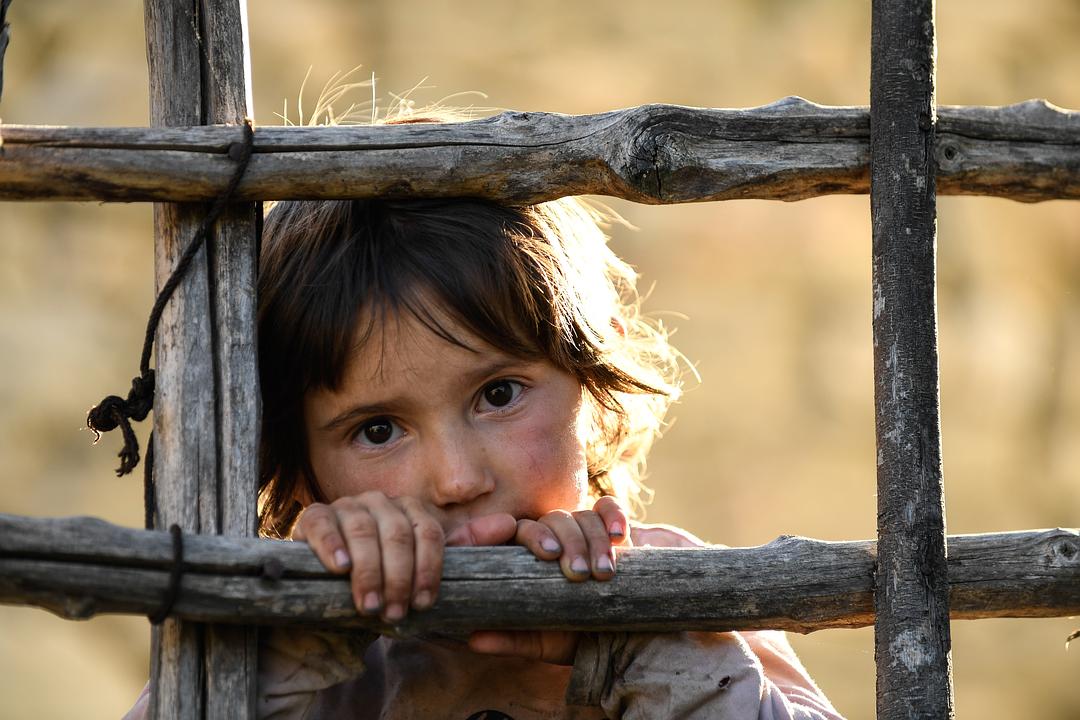 蜂蜜之地 Медена земја