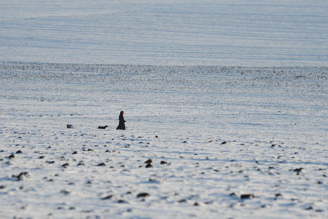 蜂蜜之地 Медена земја
