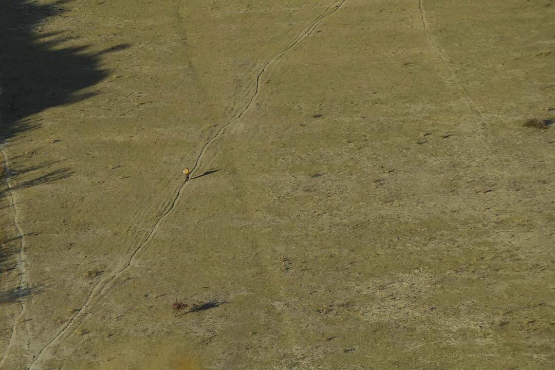 蜂蜜之地 Медена земја