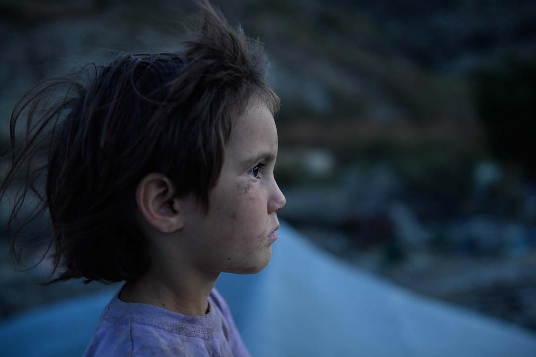 蜂蜜之地 Медена земја